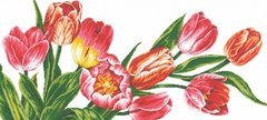 Купить Алмазная вышивка Красота тюльпанов  в Украине
