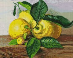 Купить Алмазная мозаика на подрамнике. Лимоны  в Украине