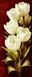 Набір алмазної вишивки. Білі тюльпани-2, Без підрамника, 60 х 25 см