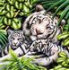 Вишивка камінням за номерами на підрамнику Біла тигриця з тигрятами