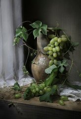 Купить Картина из мозаики. Виноградная лоза  в Украине
