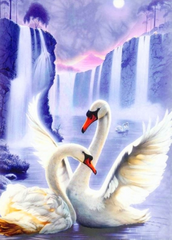 Купити Алмазна мозаїка Пара лебедів  в Україні