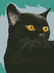 Купить Алмазная мозаика Черный кот  в Украине
