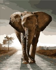 Купити Картина за номерами. Королівський слон  в Україні