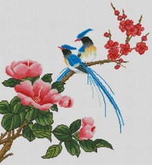 Купить Алмазная живопись Райские птицы  в Украине