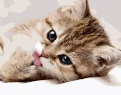 Купити Картина за номерами Маленьке кошеня  в Україні