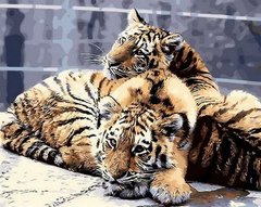 Купить Картина по номерам. Задумчивые тигрята  в Украине