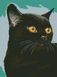 Алмазна мозаїка Чорний кіт, Без підрамника, 37 х 50 см