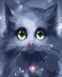 Картина по номерам Зеленоглазый котенок, Без коробки, 40 х 50 см