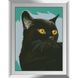 Алмазная мозаика Черный кот, Без подрамника, 37 х 50 см