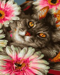 Купить Картина по номерам без коробки. Кот в цветах  в Украине
