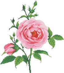 Купити Набір алмазної вишивки Ніжна троянда  в Україні