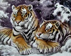 Купить Алмазная мозаика на подрамнике. Пара тигров в снегу  в Украине