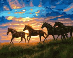 Купить Картина по номерам без коробки. Табун лошадей на рассвете  в Украине