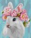 Набор для рисования по цифрам. Идейка Белый кролик ©Юлия Томеско 50 х 40 см, Без коробки, 40 х 50 см