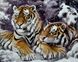 Алмазна мозаїка на підрамнику. Пара тигрів в снігу, З підрамником, 40 x 50 см