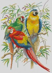 Купить Алмазная вышивка Три попугая  в Украине