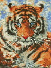 Купити Алмазна мозаїка 30х40 см. Тигр  в Україні