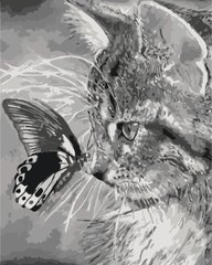 Купити Набір для малювання по цифрам. Кошеня і метелик (без коробки)  в Україні