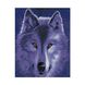 Алмазная мозаика по номерам круглыми камешками. Волчица в лунном свете (на подрамнике), С подрамником, 40 x 50 см