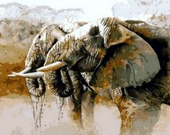 Купити Картина за номерами. Слони на водопої  в Україні