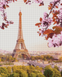 Алмазна мозаїка. Париж - Вишневий Цвіт 40 x 50 см