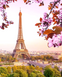 Алмазная мозаика на подрамнике. Париж - Вишневый Цвет 40 x 50 см