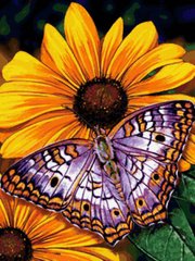 Купити Вишивка камінням за номерами Метелик на квітці  в Україні