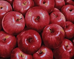 Купити Картина за номерами без коробки. Червоні яблука  в Україні