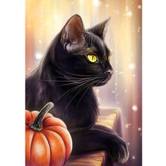 Купить Набор алмазной мозаики. Черная кошка (30х40см, квадратные камешки, полная выкладка полотна) выкладка алмазами по номерам  в Украине