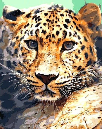 Купити Алмазна мозаїка на підрамнику. Погляд леопарда  в Україні
