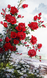 Алмазна мозаїка. Червоні троянди-2 75 х 45 см, Без підрамника, 75 х 45 см