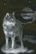 Алмазная мозаика Ночной волк, Без подрамника, 34 х 50 см