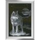Алмазная мозаика Ночной волк, Без подрамника, 34 х 50 см