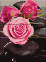 Купить Картина по номерам на дереве. Розы на камнях  в Украине