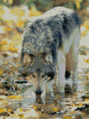 Купить Алмазная мозаика по номерам круглыми камешками (на подрамнике). Волк на водопое  в Украине