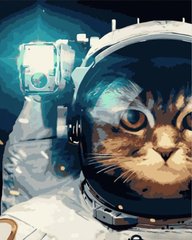 Купити Картина за номерами Кіт-космонавт  в Україні