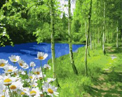 Купить Картина по номерам без коробки. Ромашки у лесного озера  в Украине