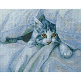 Купить Алмазная мозаика на подрамнике. Игривая кошка (40 х 50 см, круглыми камешками)  в Украине