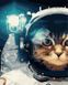 Картина за номерами Кіт-космонавт, Без коробки, 40 х 50 см