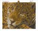 Картина з мозаїки. Ягуар, Без підрамника, 50 х 40 см