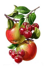Купить Картина из мозаики. Яблоки и вишня  в Украине