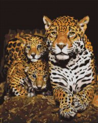 Купить Алмазная мозаика на подрамнике. Ночные леопарды (40 x 50 см)  в Украине