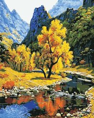 Купить Картина по номерам. Осень в горах  в Украине