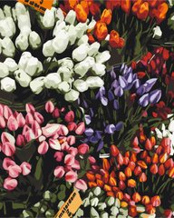 Купити Картина за номерами без коробки Ярмарка тюльпанів  в Україні
