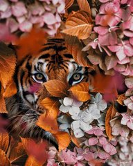 Купить Набор алмазной мозаики 40х50 см. Взгляд тигра (мозаика по номерам на холсте) квадратные камешки, полная выкладка холста  в Украине