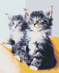 Купити Картина за номерами без коробки. Блакитноокі кошенята  в Україні