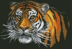 Купити Алмазна мозаїка Тигр  в Україні