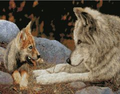 Купити Алмазна мозаїка на підрамника круглими камінчиками. Вовки - батько та син 40 x 50 см  в Україні