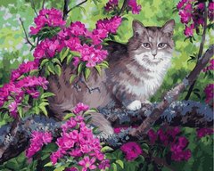 Купить Картина по номерам. Кот и цветущее дерево  в Украине